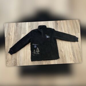 Express Embroidered Print Sherpa Quarter Zip Sweatshirt Express